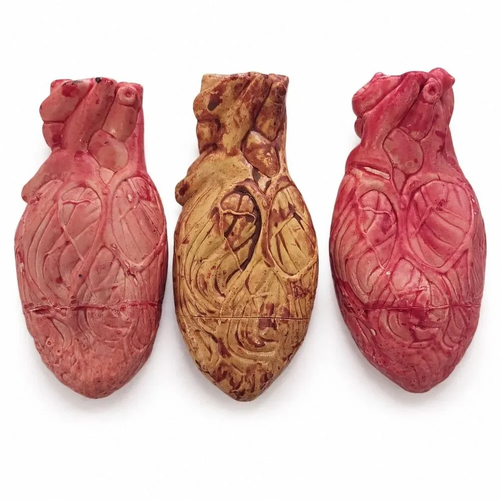Lot of 3 Anatomical Human Heart Models 6.5” Medical Halloween Decor Props